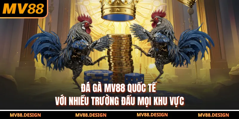 Đá gà MV88 quốc tế với nhiều trường đấu mọi khu vực