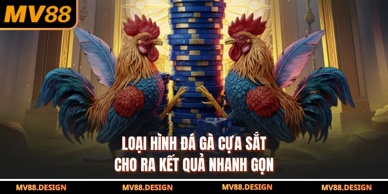 Loại hình đá gà cựa sắt cho ra kết quả nhanh gọn