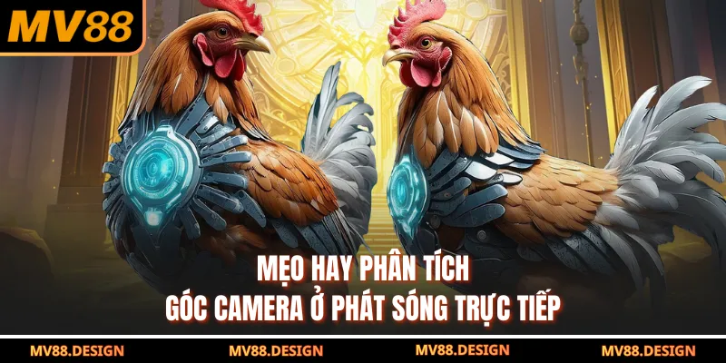 Mẹo hay phân tích góc camera ở phát sóng trực tiếp